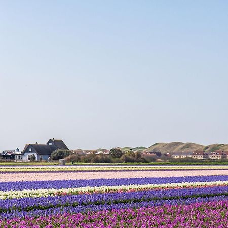 Vakantiehuis Zilt - Julianadorp Aan Zee Exteriér fotografie