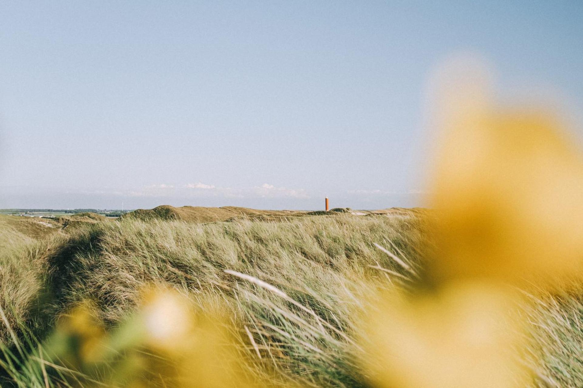Vakantiehuis Zilt - Julianadorp Aan Zee Exteriér fotografie