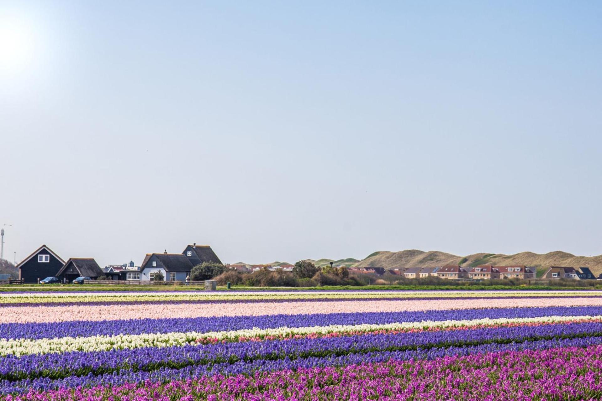 Vakantiehuis Zilt - Julianadorp Aan Zee Exteriér fotografie